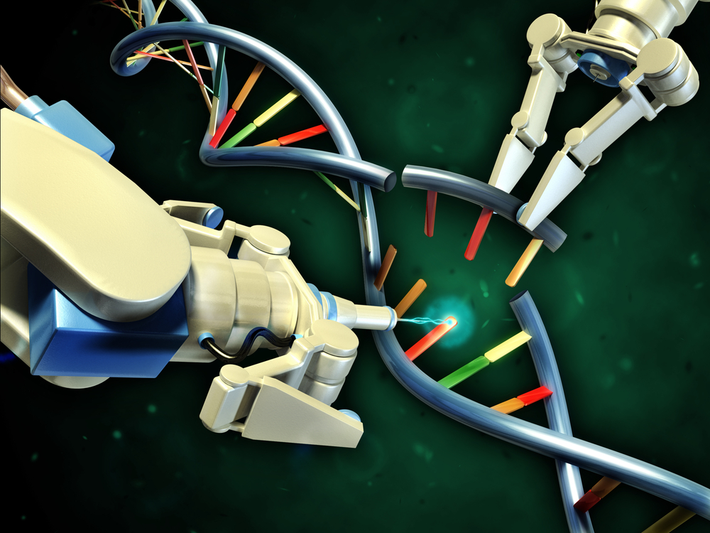 De ontbrekende CAA-onderbreking kan de progressie van HD beĂŻnvloeden door het voor cellen moeilijker te maken om hun DNA accuraat te repareren, waardoor het CAG-gebied van het HD-gen nog groter kan worden in sommige cellen.