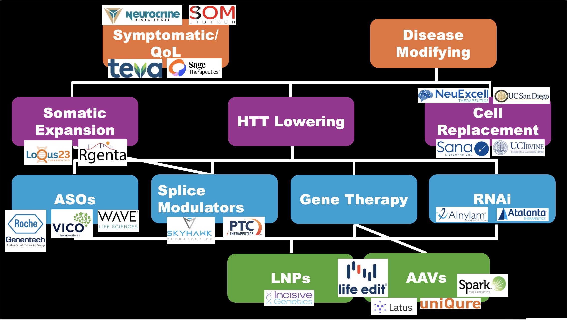 In Sarah's presentatie gaf ze een overzicht van de therapeutische strategieën voor de ziekte van Huntington, met in deze dia een samenvatting waarop ook de bedrijven staan vermeld die actief zijn in deze gebieden.